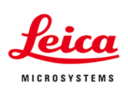 Logo Microsystems sin palo