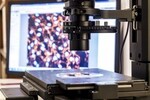 IMDEA Nanociencia se suma a la iniciativa para crear una base de datos de microscopía de fuerza atómica: bioAFM