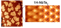 A niobium-telluride material reveals an unexpected structure when reduced to a single atomic layer 